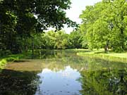 Peaceful pond located on the site