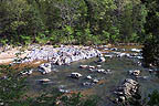 Shut-ins view