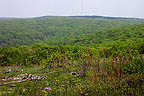 View from Taum Sauk Mountain