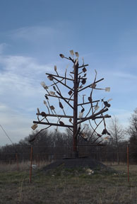 Shovel tree outside of Osceola