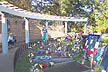 Elvis grave site