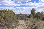 Lava fields