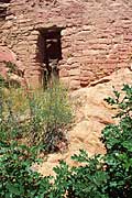 Flowers & doorway at Spruce Tree House