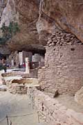 Spruce Tree House showing walls & kivas