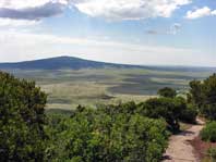 view of trail