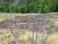 Bandelier ruins