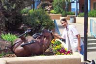 Sandra & horse