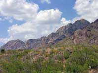 Organ Mountains