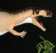 Allosaur