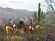 the cactus trail