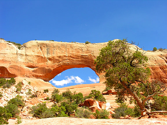 Natural arch/bridge